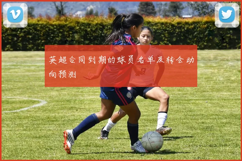 英超合同到期的球员名单及转会动向预测