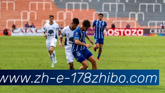 178体育直播平台生态图